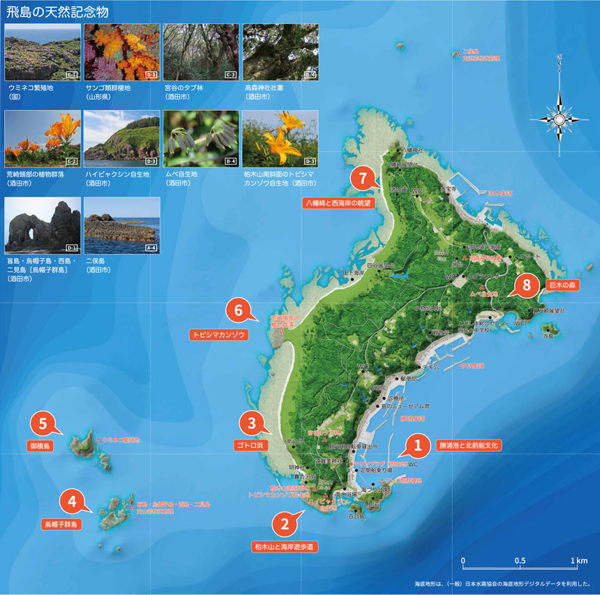 ジオパーク 飛島エリア地図
