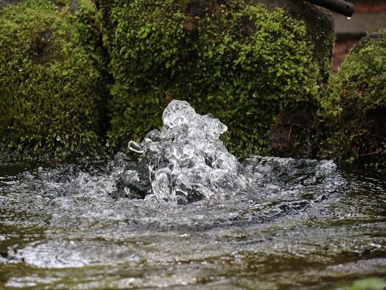 第51回 ボツメク 湧き水の秘密 鳥海山 飛島ジオパーク