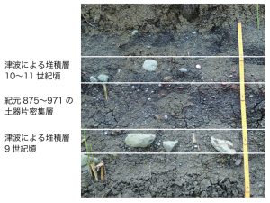 地質の年代がわかる堆積層の画像