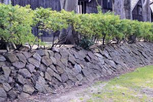 山居倉庫土盛り